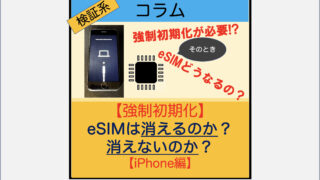強制初期化】eSIMは消えるのか？消えないのか？【iPhone】 | スマ辞書